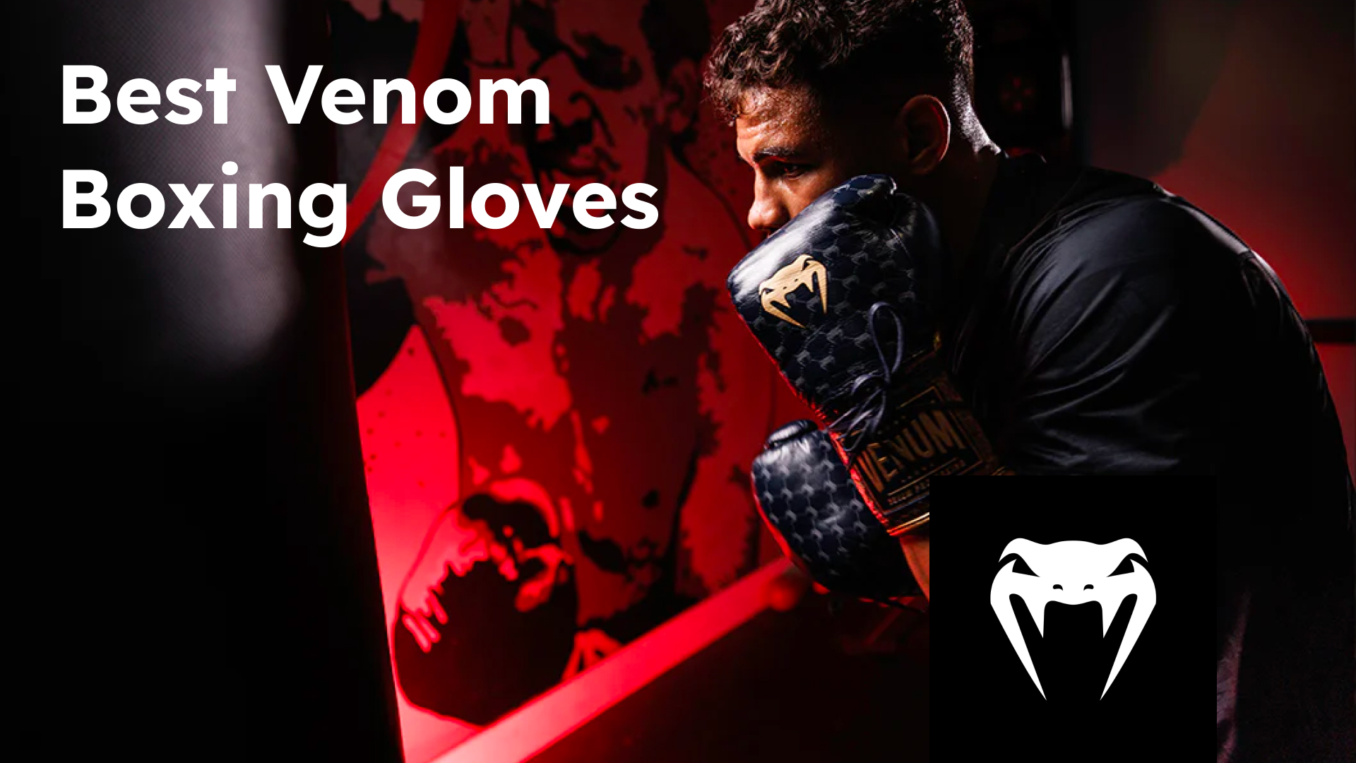 Boxer with premium Venom boxing gloves training in gym